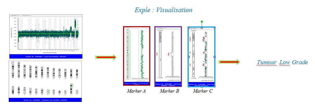 Exemple markers